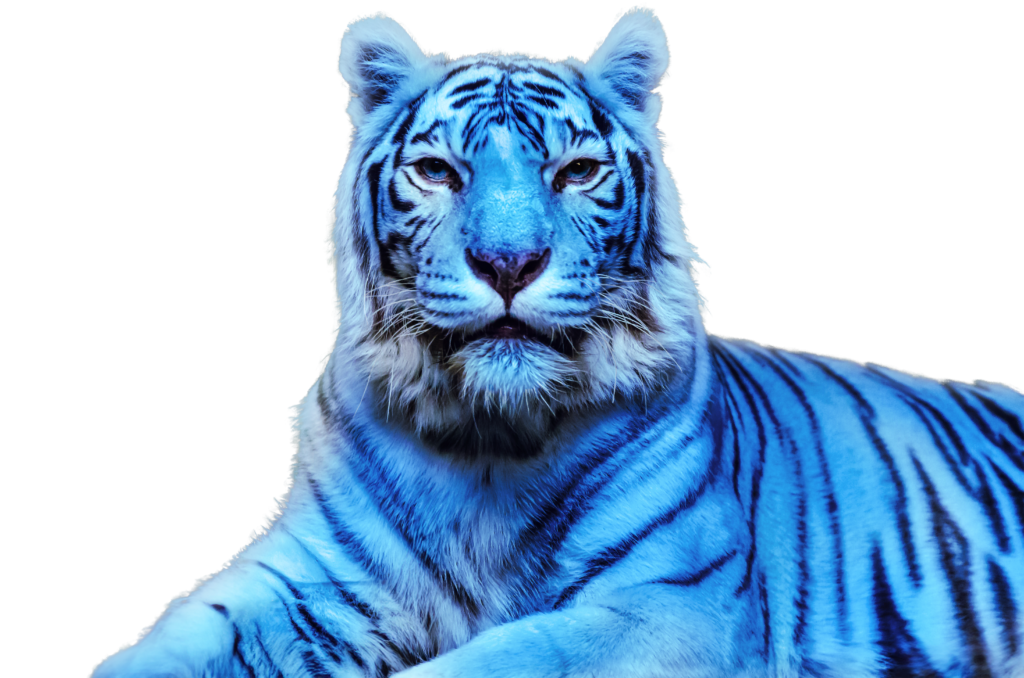Blue Tiger Insurance | Annuities Life Home Auto - building and protecting your assets and your future.